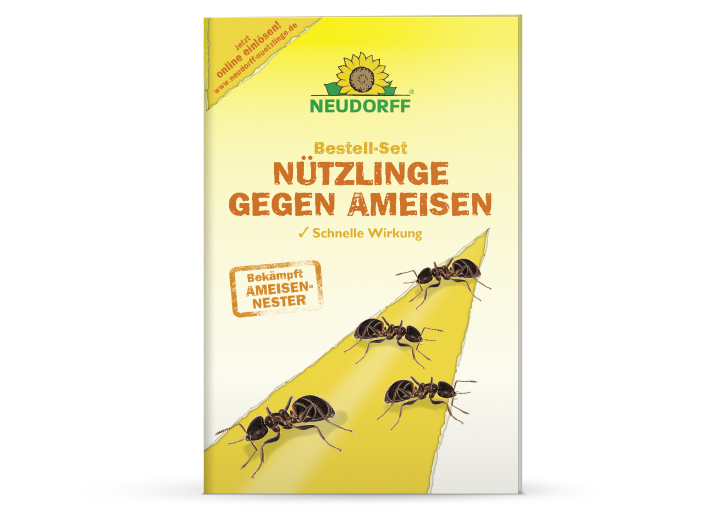 NEUDORFF Bestell-Set Nützlinge gegen Ameisen